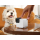 Petcube Interaktywna Inteligentna kamera Cam 360 - 1308535 - zdjęcie 5